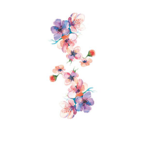 blossom duo